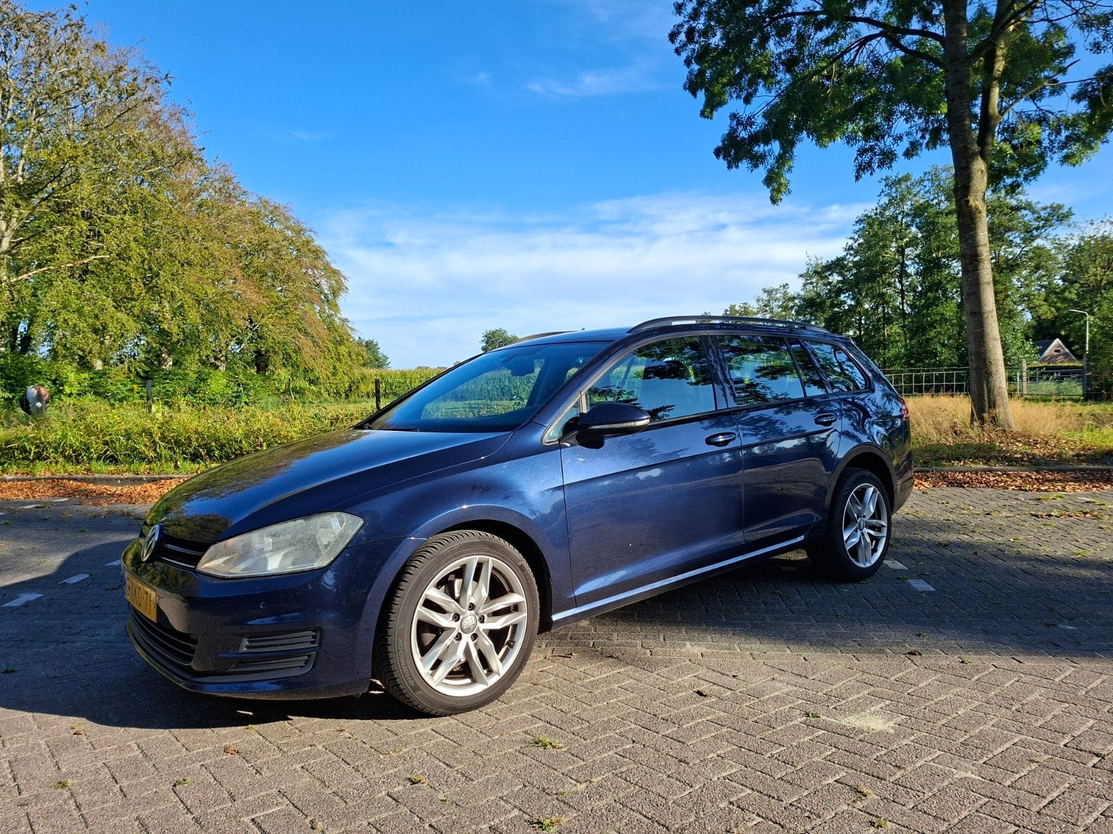 Volkswagen Golf 1.6 TDI 81KW/110PK Variant 2014 Blauw, Voorwielaandrijving, 1295 kg, 4 cilinders, Blauw
