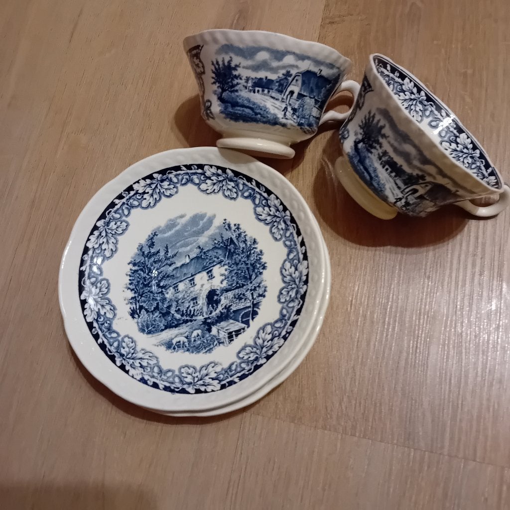 2 kopjes en 2 schoteltjes boerenhoeve, Nieuw, Ophalen of Verzenden, Overige stijlen, Kop(pen) en/of Schotel(s)