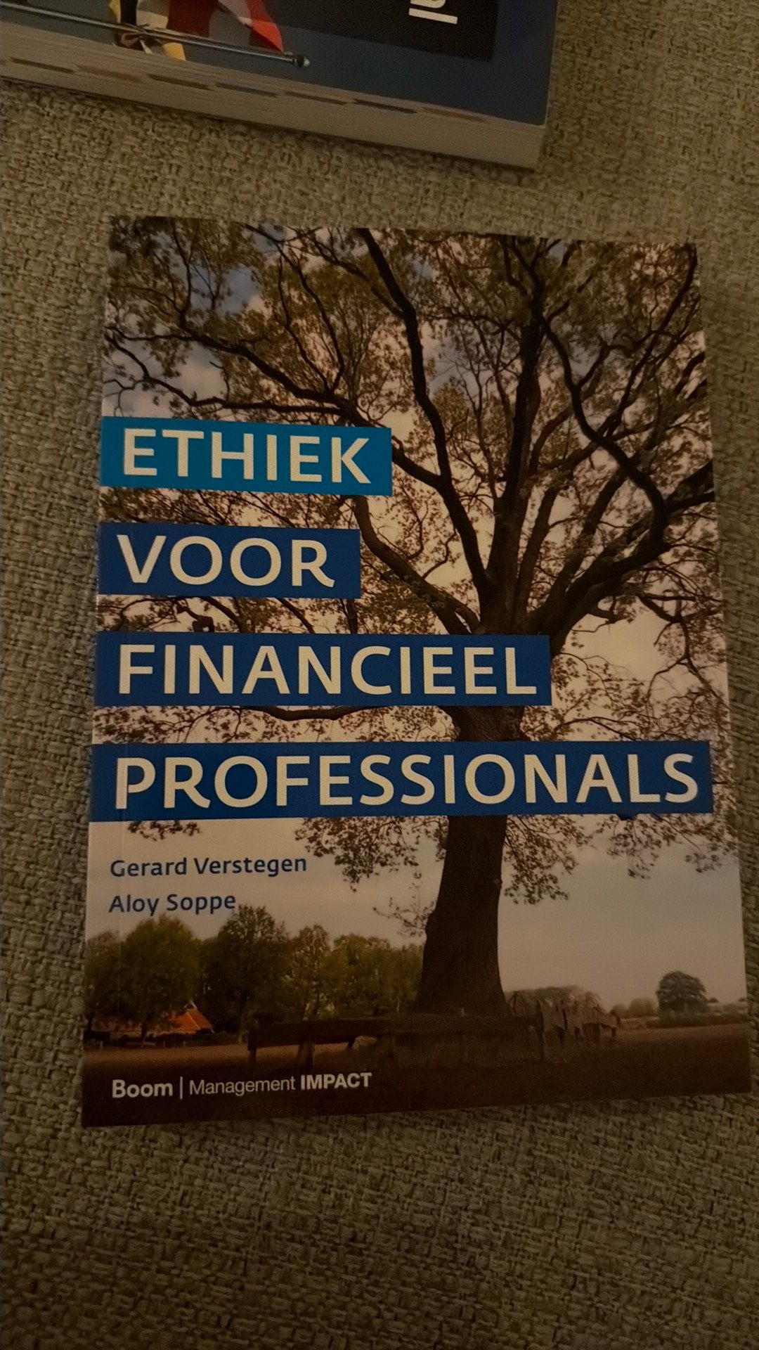 Aloy Soppe - Ethiek voor financieel professionals, Sociale wetenschap, Ophalen of Verzenden, Zo goed als nieuw, Aloy Soppe; Gerard Verstegen