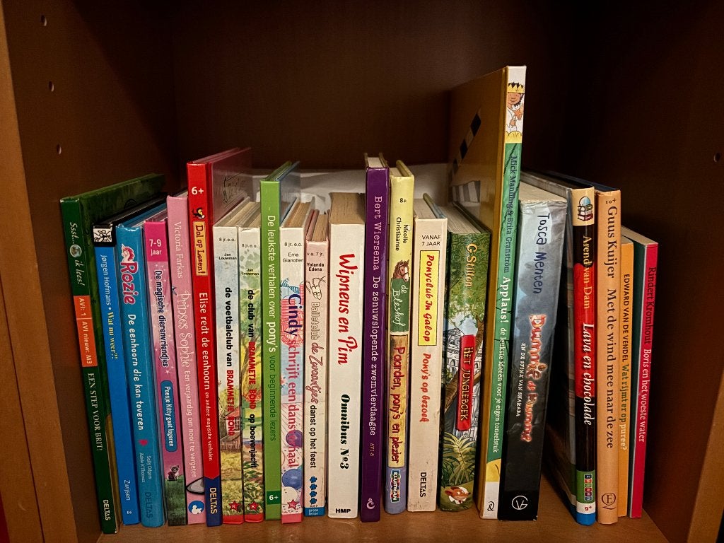 Leesboeken jongens meisjes vanaf 6, 7 of 8 jaar , ook  AVI, Boeken, Ophalen, Zo goed als nieuw, Geronimo Stilton, Fictie algemeen