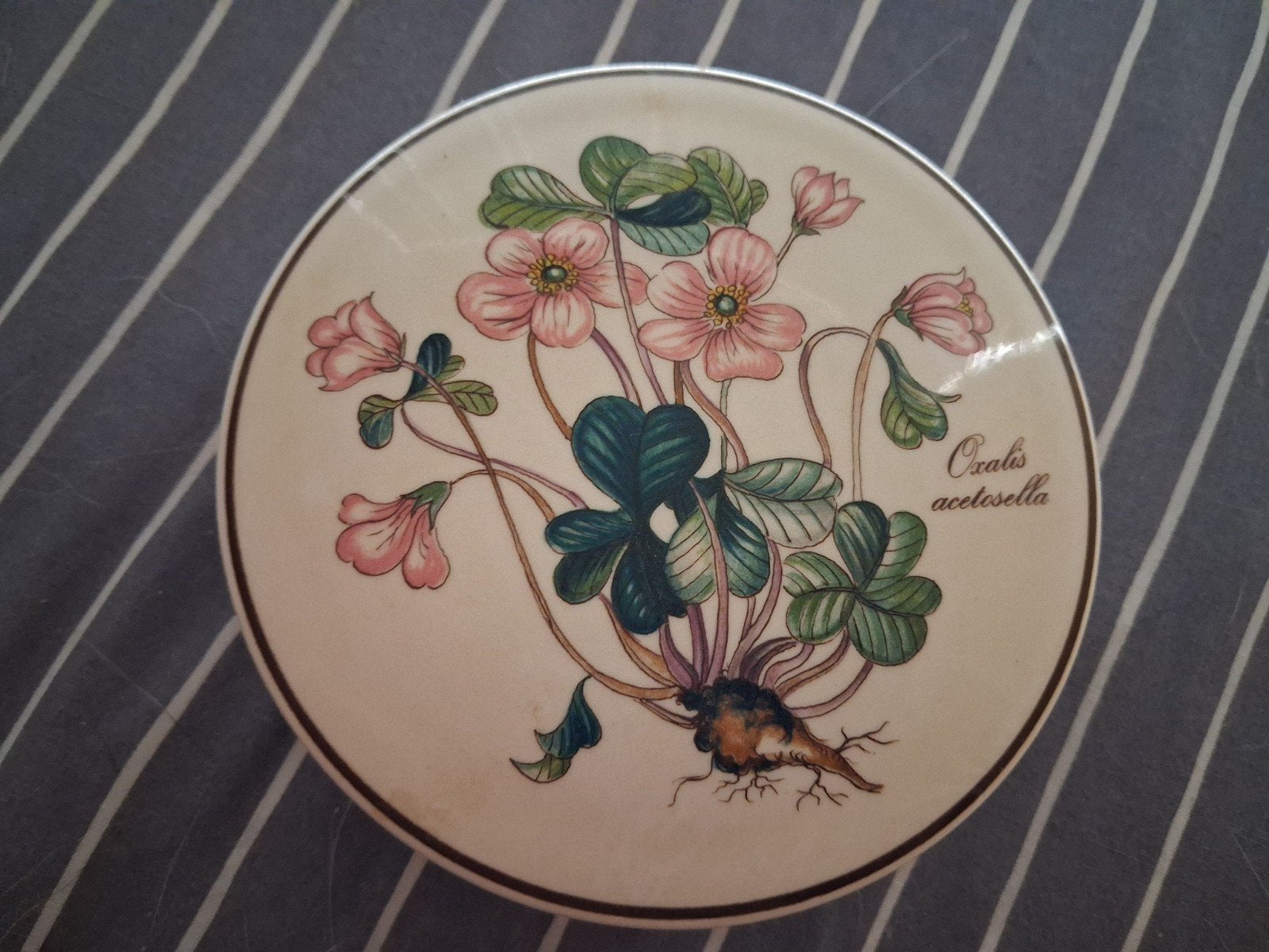 Villeroy & Boch Botanica Oxalis Acetosella Doosje, Antiek en Kunst, Ophalen of Verzenden