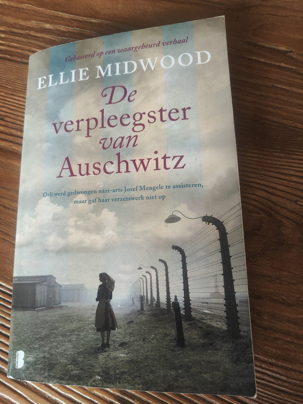 Auschwitz boeken de verpleegster, de tatoeëerder, Ophalen of Verzenden, Gelezen