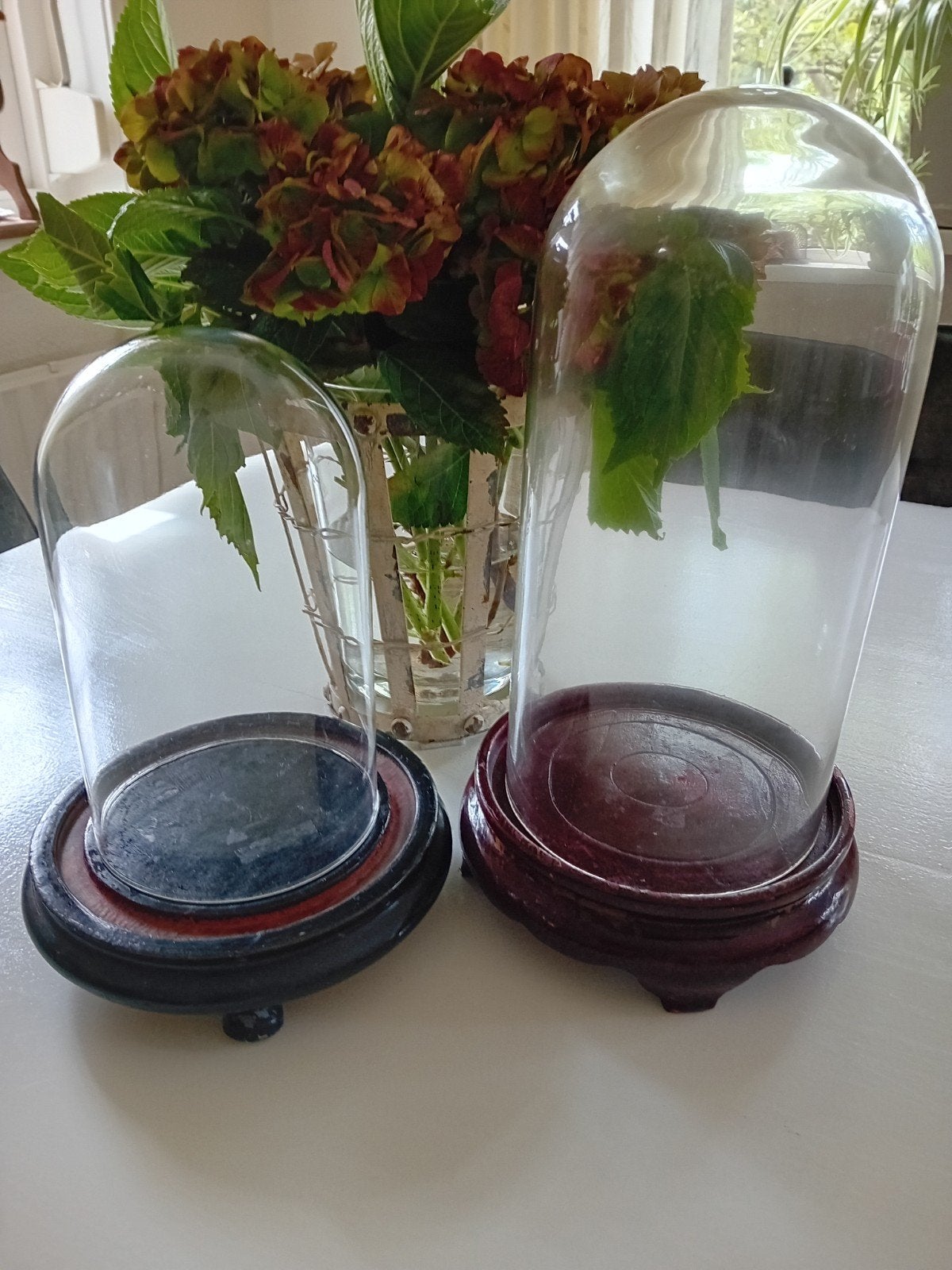 Glazen stolp met houten voet - set van 2, Vintage, Gebruikt, Meerkleurig, Ophalen of Verzenden