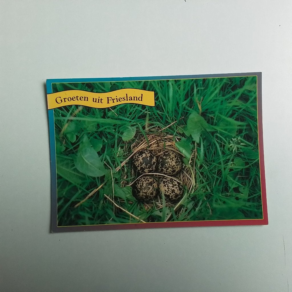 Groeten uit Friesland, Ophalen of Verzenden, Ongelopen, Vogel