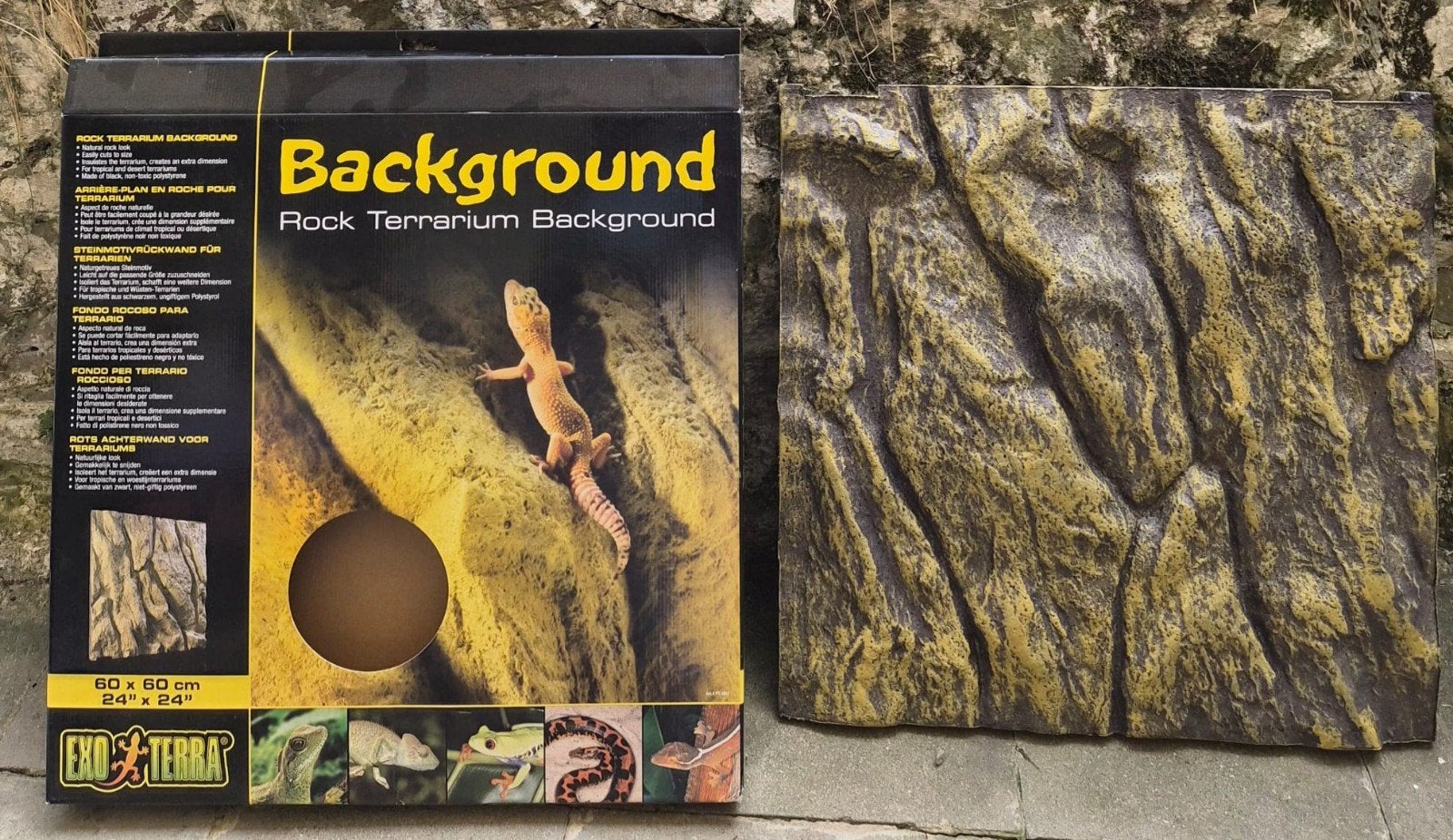 décor terrarium Exo-terra 60x60 neuf, Dieren en Toebehoren, Ophalen, Nieuw, Terrarium of Paludarium