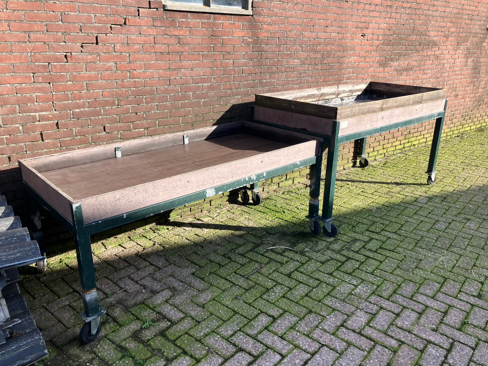 2 Robuuste Kweektafels op Wielen - Ideaal voor Tuinieren, Tuin en Terras, Ophalen, Gebruikt, Kweektafel