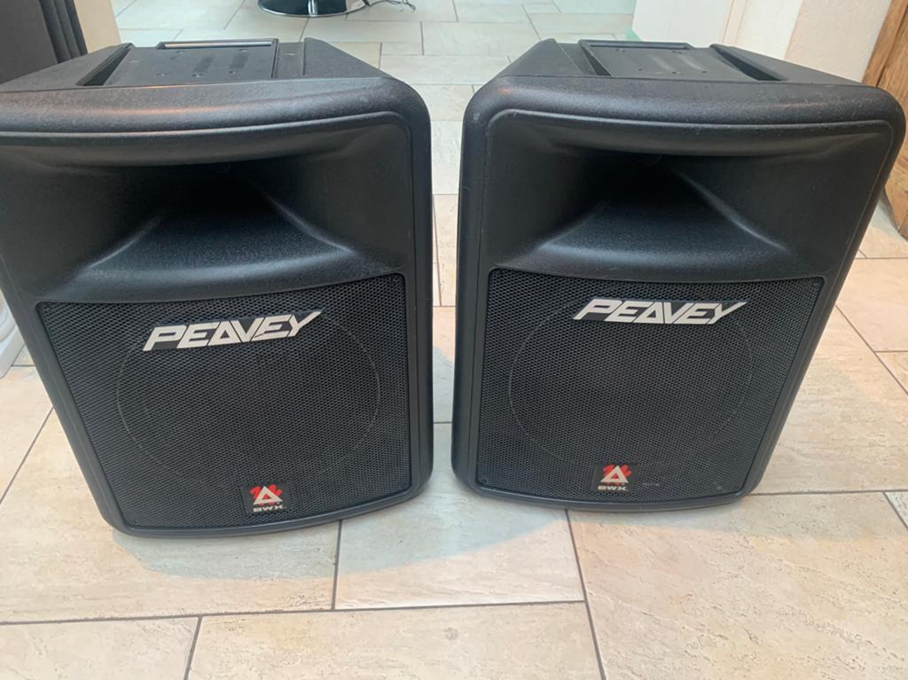 Te koop Peavey boxen, Ophalen of Verzenden, Zo goed als nieuw, Audio