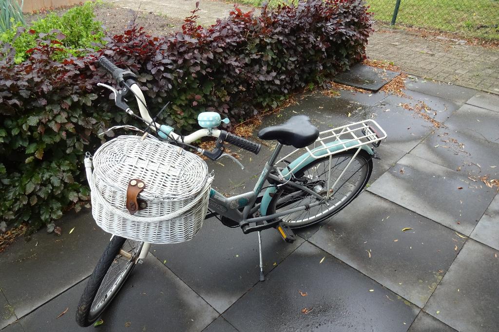Verkoop kinderfiets, Fietsen en Brommers, Fietsen | Meisjes, Ophalen, Mizzy, Gebruikt, Velgrem