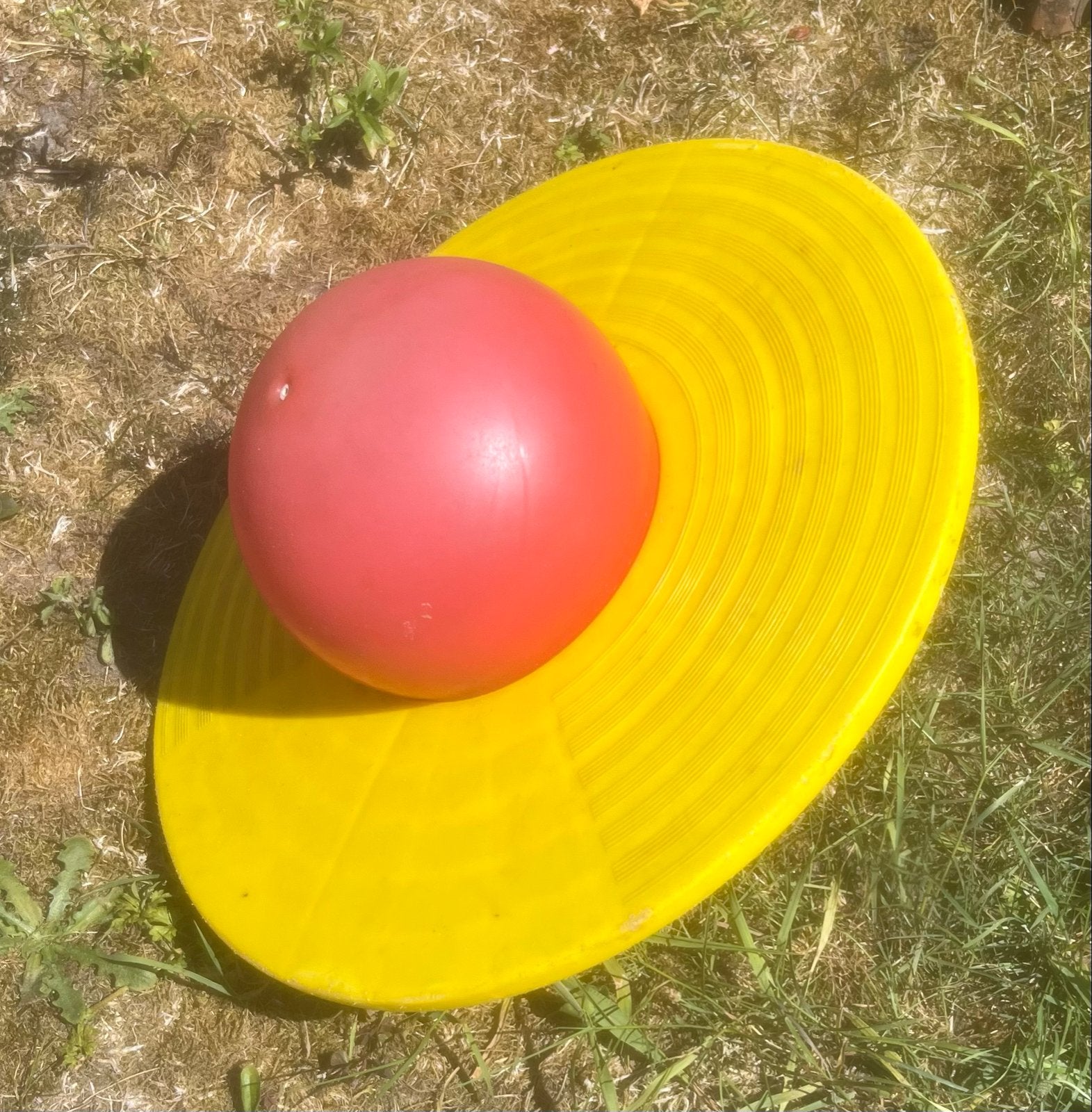 Wiebelbal voor Kinderen - Balans en Plezier, Ophalen, Gebruikt, Jongen of Meisje