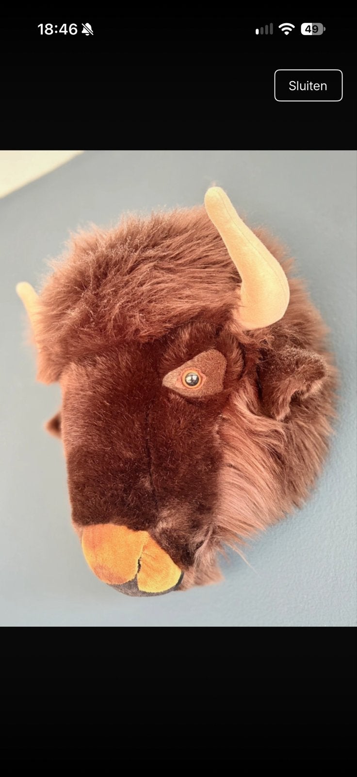 Wild & Soft Bizon Dierenkop Muurdecoratie, Gebruikt, Overige stijlen, Ophalen of Verzenden, Bruin
