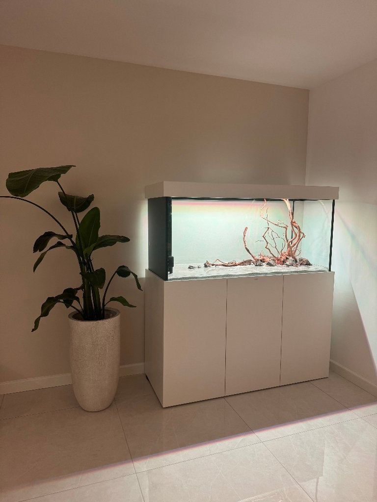 Aquaja Aquarium met Discussen en externe Filter + bluetooth, Dieren en Toebehoren, Ophalen, Inclusief vissen, Overige merken, Gevuld zoetwateraquarium
