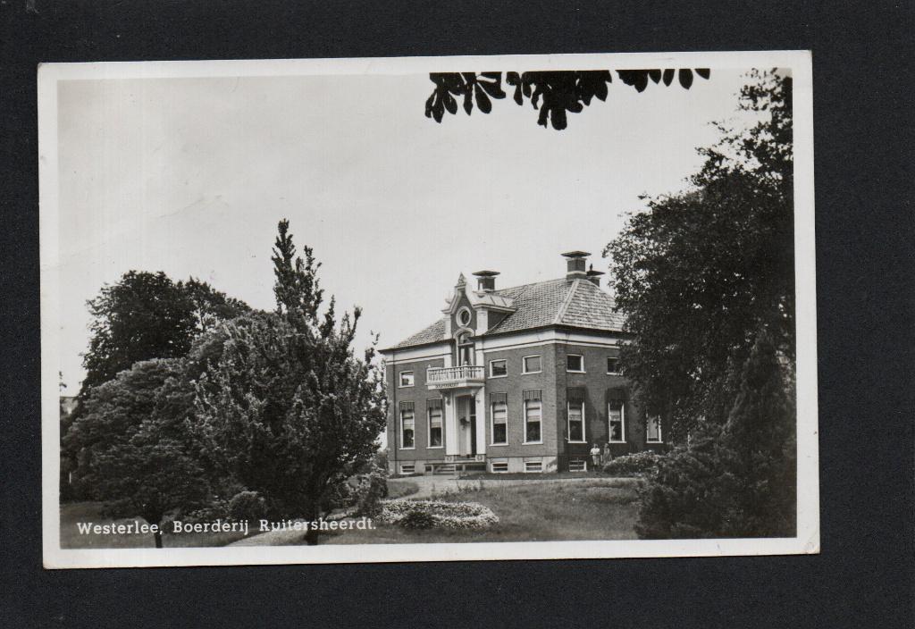 Westerlee, (Gr). 1951. Boerderij "Ruitersheerdt"., Verzamelen, Ophalen of Verzenden, 1940 tot 1960, Gelopen, Groningen