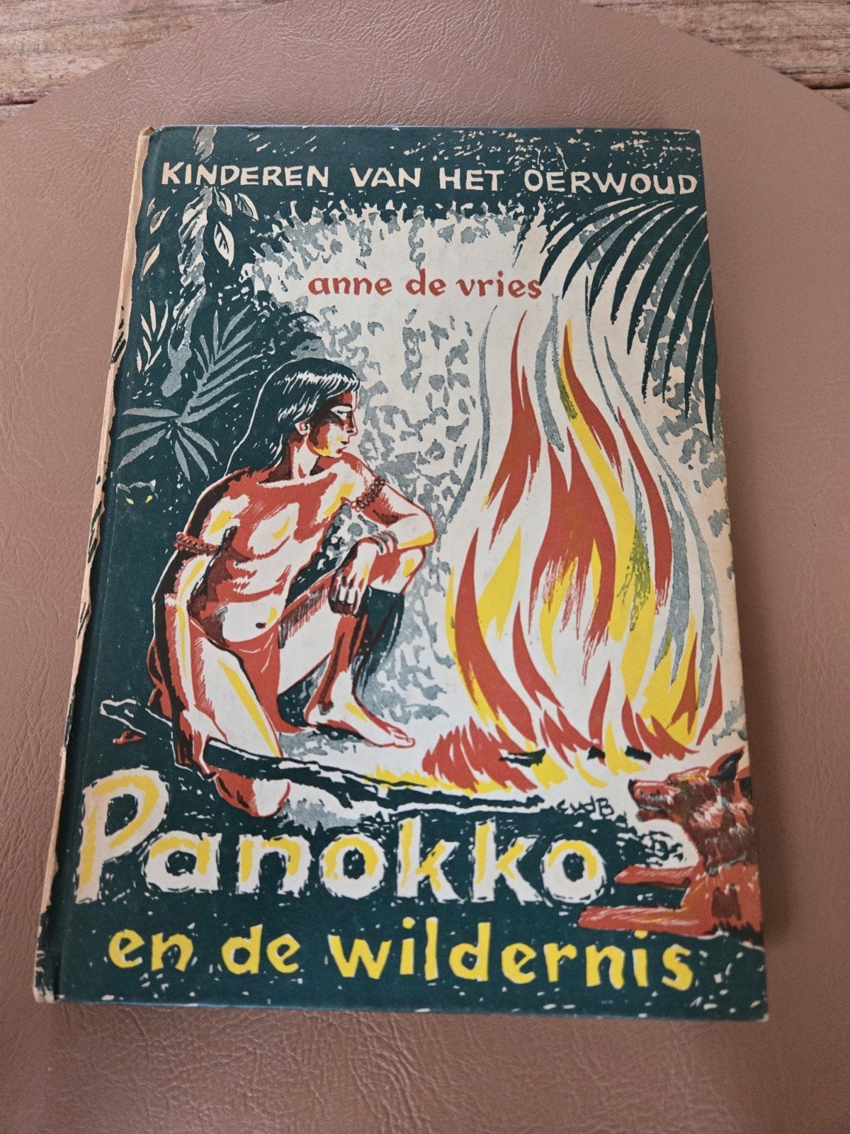 Panokko en de wildernis - Kinderen van het Oerwoud, Boeken, Ophalen of Verzenden, Gelezen, Anne de Vries, Fictie algemeen