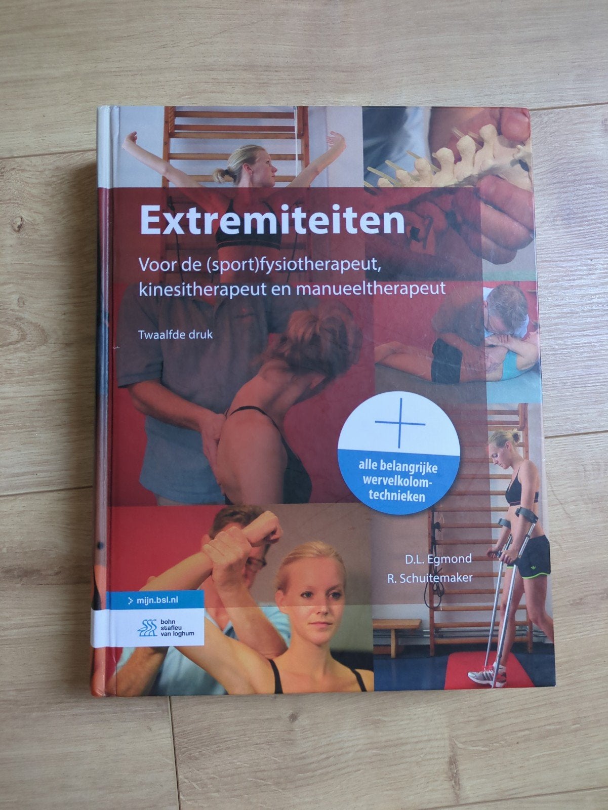 Extremiteiten:Fysiotherapie,Kinesitherapie, Manuele Therapie, Ophalen, HBO, Zo goed als nieuw, D.L. Egmond, R. Schuttemaker