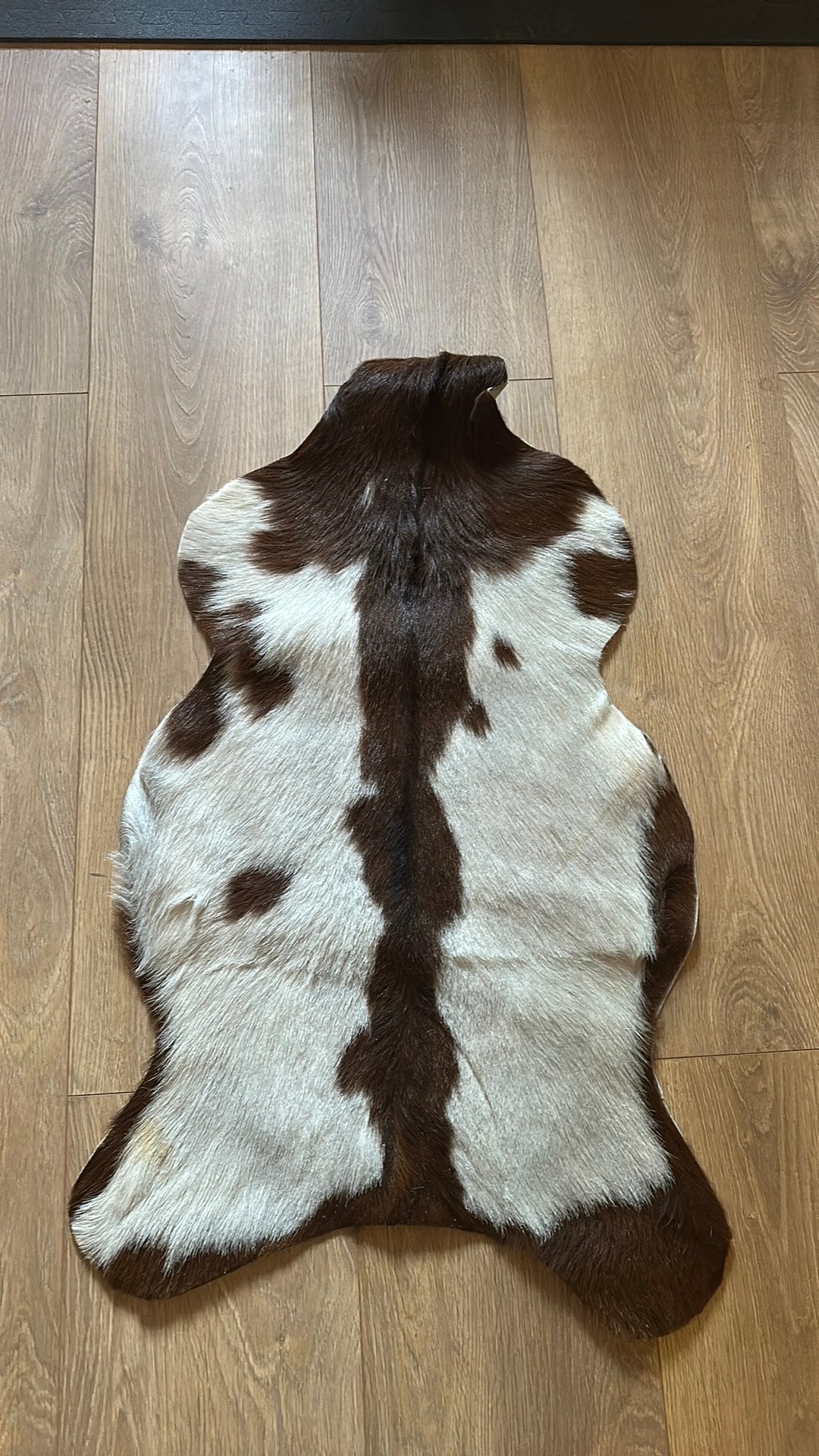 Dierenhuid - geit bruin/wit, Bruin, Zo goed als nieuw, Rechthoekig, 50 tot 100 cm