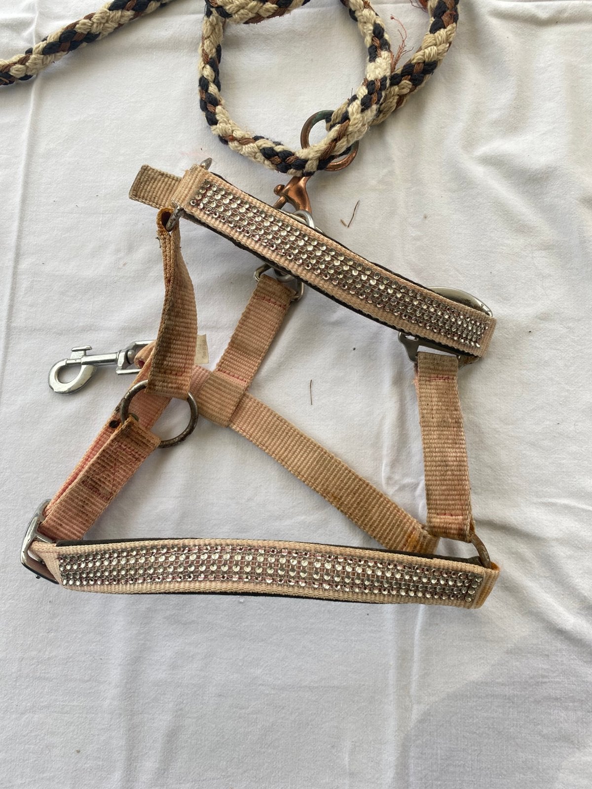 Mooie halsters, Dieren en Toebehoren, Ophalen of Verzenden, Zo goed als nieuw