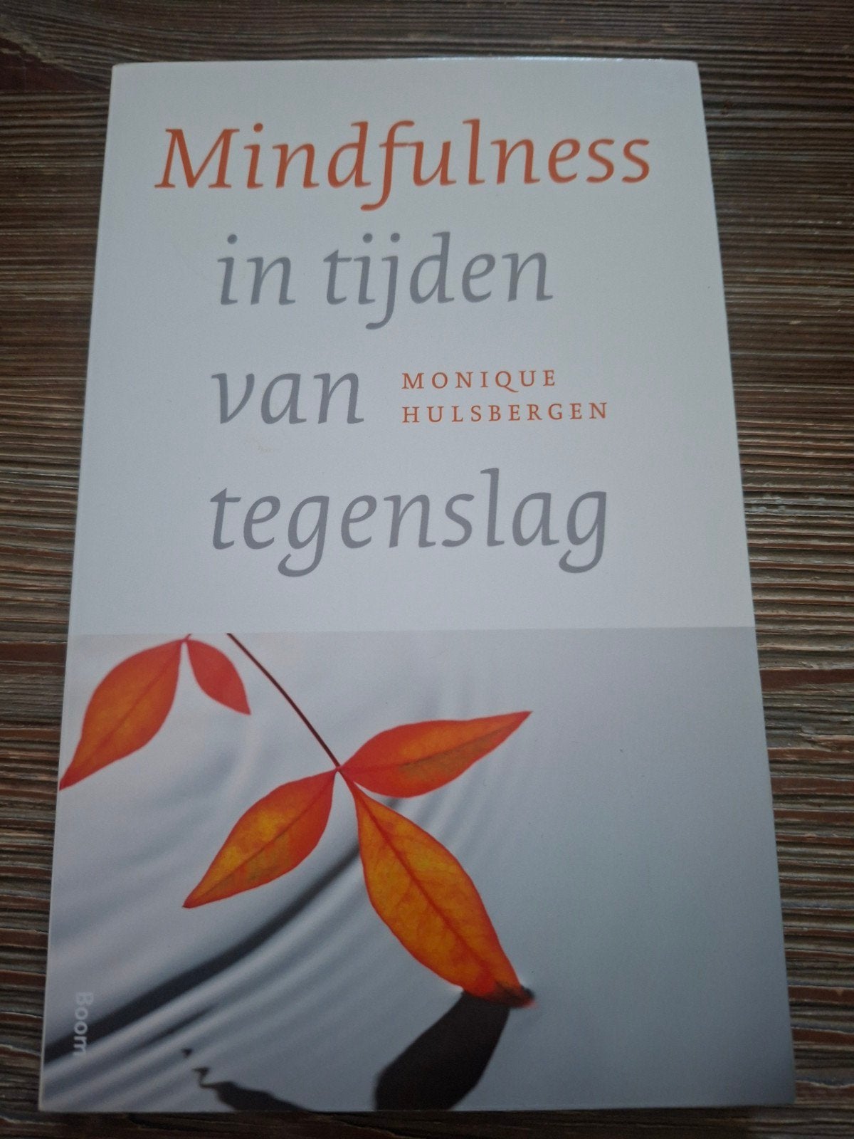 Mindfulness in tijden van tegenslag - Monique Hulsbergen, Ophalen of Verzenden