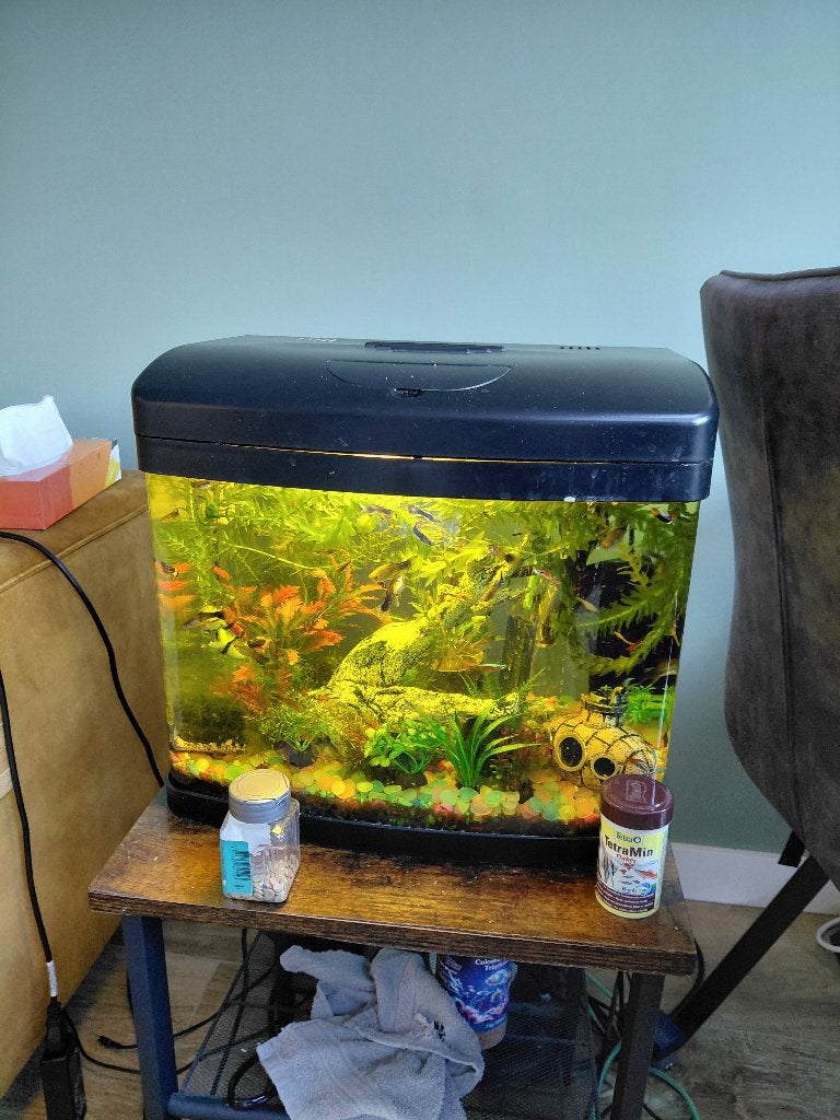 Aquarium met toebehoren, Ophalen, Inclusief vissen, Zo goed als nieuw, Gevuld zoetwateraquarium