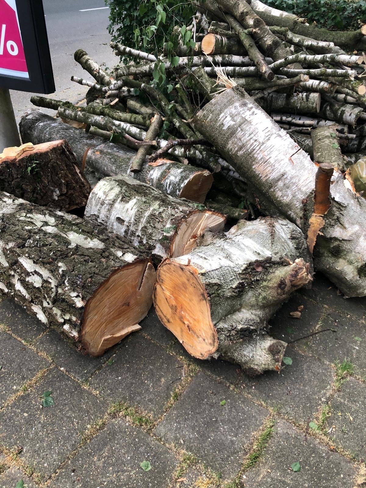 Boomstammen en takken voor brandhout, Tuin en Terras, Haardhout, 3 tot 6 m³, Ophalen, Berkenhout, Stammen