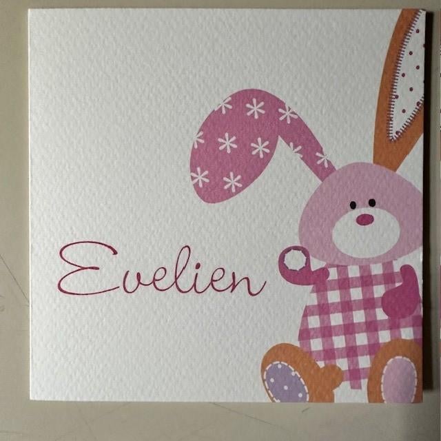 Geboortkaartje Evelien 18-3-2010, Ophalen of Verzenden, 2000 tot heden, Geboortekaartje