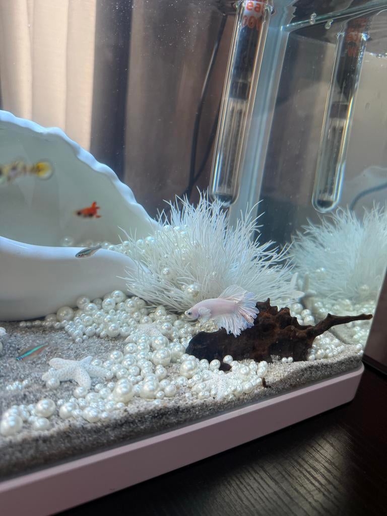 Aquarium Hilversum, Ophalen, Gebruikt, Pomp, Superfish