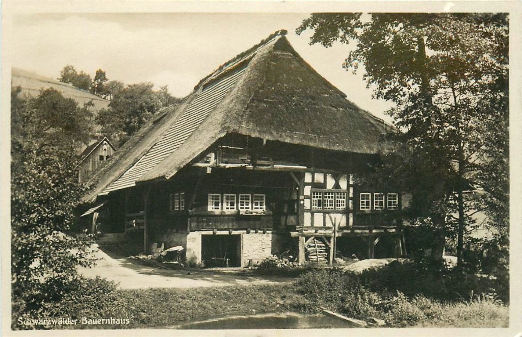 701-307-045 Schwarzwalder Bauernhaus, Verzenden, Voor 1920, Duitsland