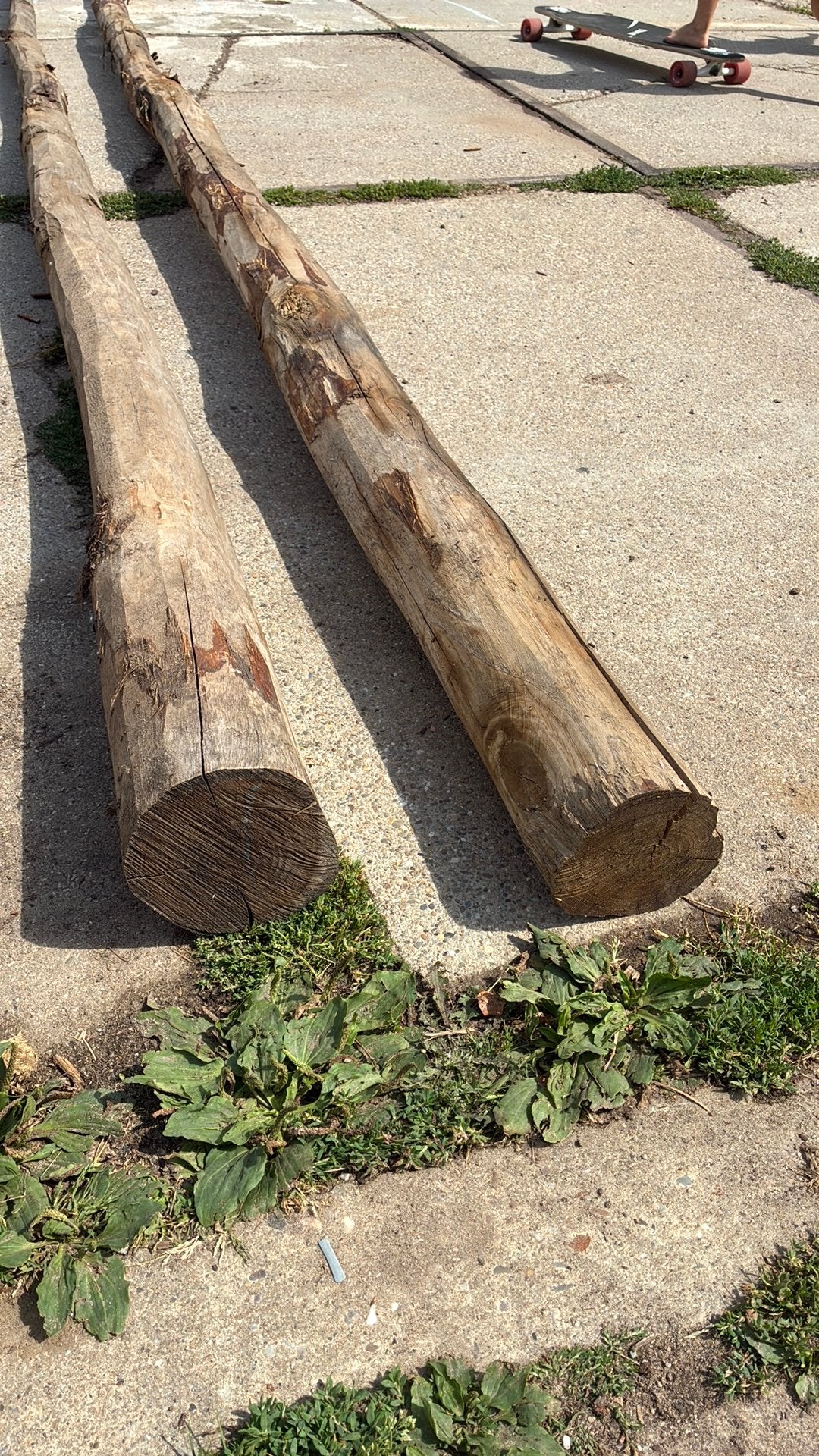 2 stuks Kastanje palen ca 500 cm lang., Tuin en Terras, Palen, Balken en Planken, Ophalen, Zo goed als nieuw, 250 cm of meer, Palen