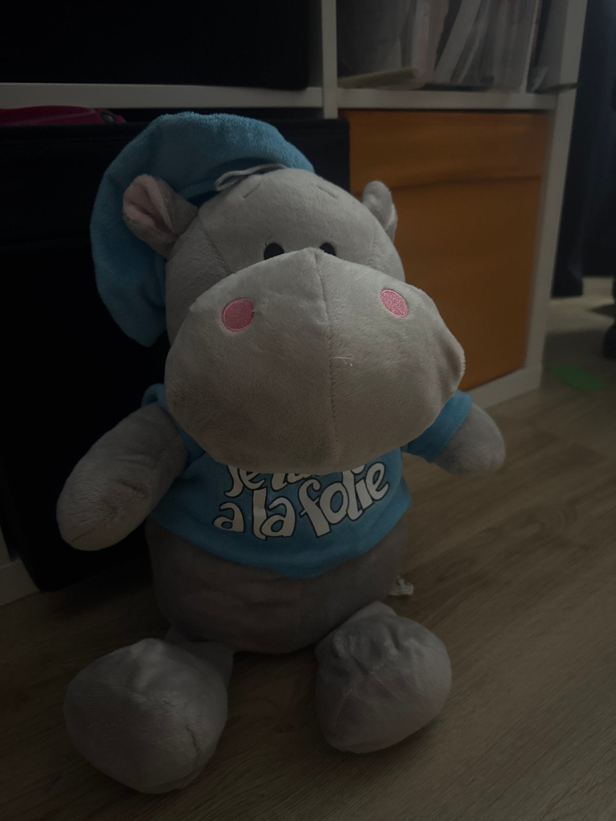 Schattig Nijlpaard Knuffel met Blauw Shirt en Slaapmuts, Ophalen, Overige merken, Overige karakters, Overige typen