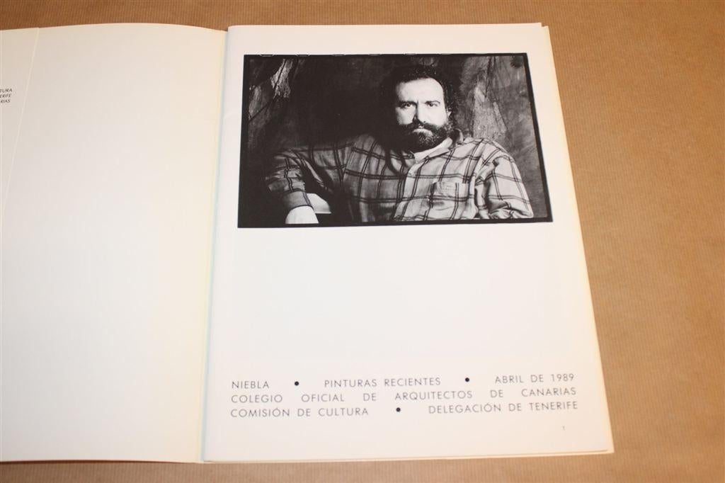 Niebla — Recente Schilderijen [1989], Ophalen of Verzenden, Gelezen