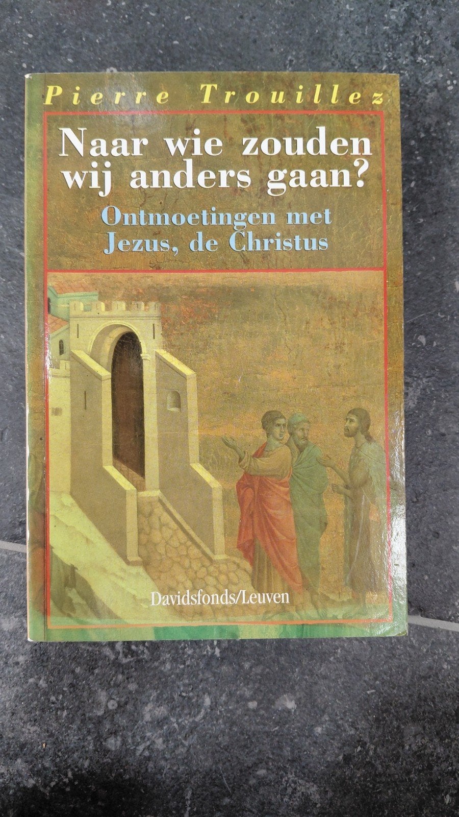P. Trouillez - Naar wie zouden wij anders gaan?, Boeken, Ophalen of Verzenden, Zo goed als nieuw, P. Trouillez