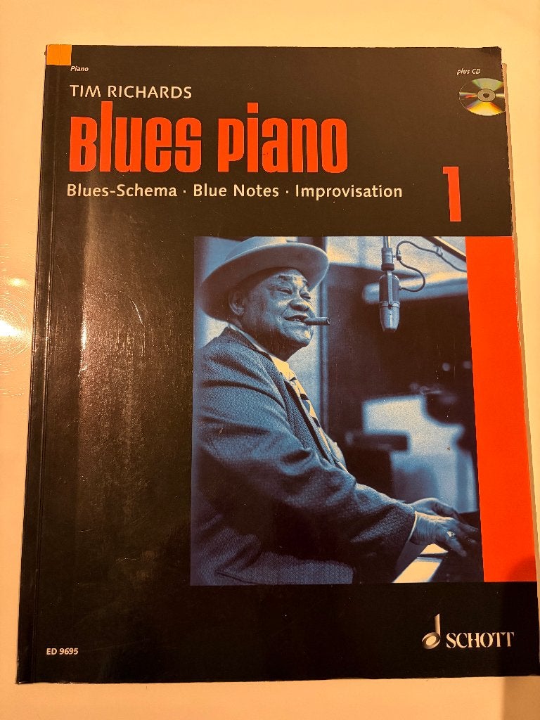 Exploring Blues Piano, Les of Cursus, Nieuw, Ophalen of Verzenden, Blues
