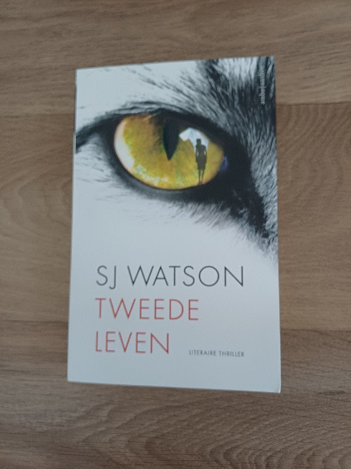 SJ Watson - Tweede Leven (Literaire Thriller), Ophalen of Verzenden, Zo goed als nieuw, SJ Watson, Nederland