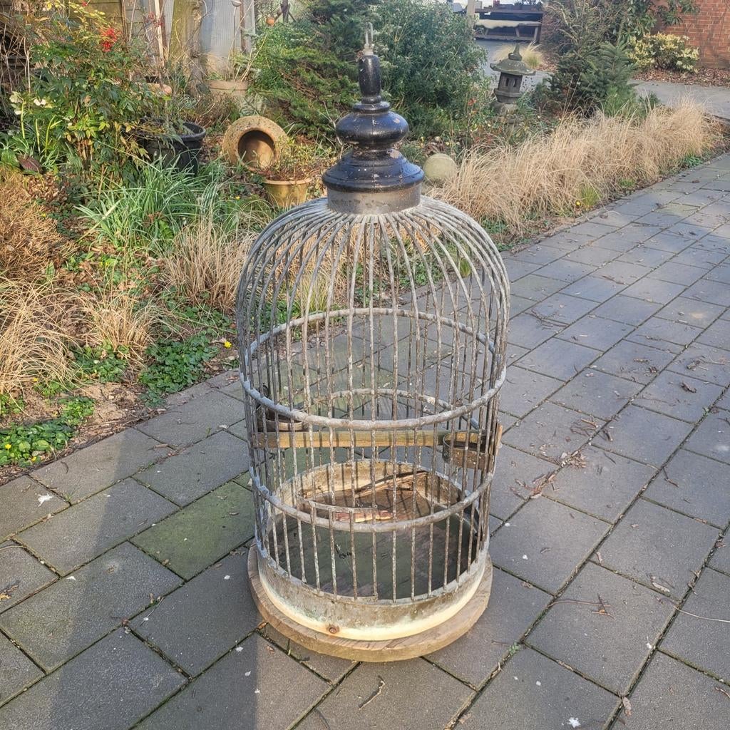 Papegaaienkooi van messing., Dieren en Toebehoren, Ophalen, Metaal, Vogelkooi