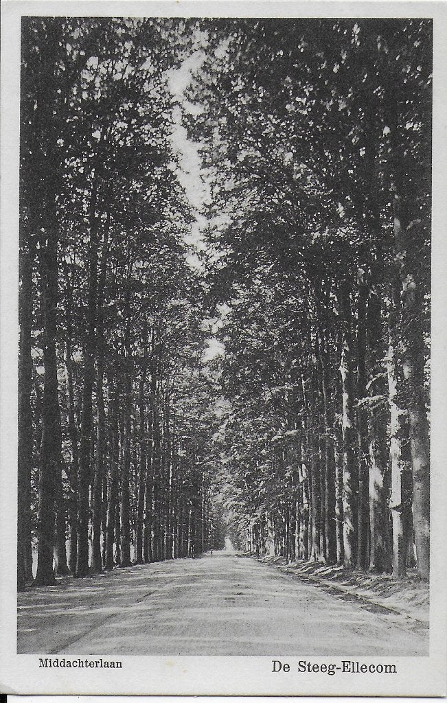 De steeg ellecom middachterlaan oude ansichtkaart ( 2074, Ophalen of Verzenden, 1960 tot 1980, Gelopen, Gelderland