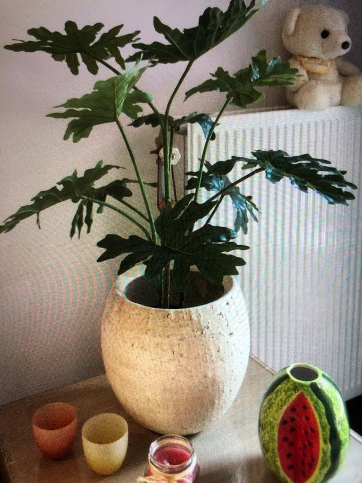 Bloempot, Ophalen of Verzenden, Halfschaduw, Minder dan 100 cm