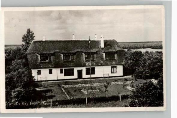 Appelscha Us Blau Hiem zegel + st 1950, Verzamelen, Ansichtkaarten | Nederland, Ongelopen, Groningen, 1940 tot 1960, Verzenden