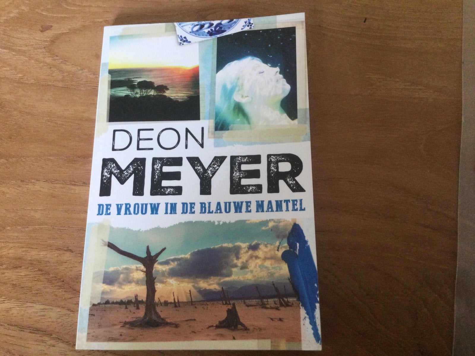 Deon Meyer, De vrouw in de blauwe mantel, Ophalen of Verzenden, Zo goed als nieuw, Deon Meyer, Wereld overig