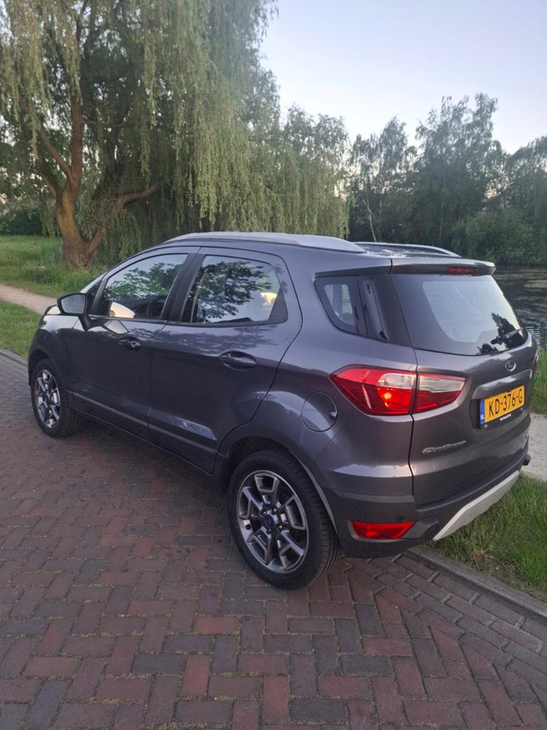 Ford Ecosport 1.0 Ecoboost 92KW 2016, Auto's, Ford, Voorwielaandrijving, 125 pk, Ecosport, Leder en Stof