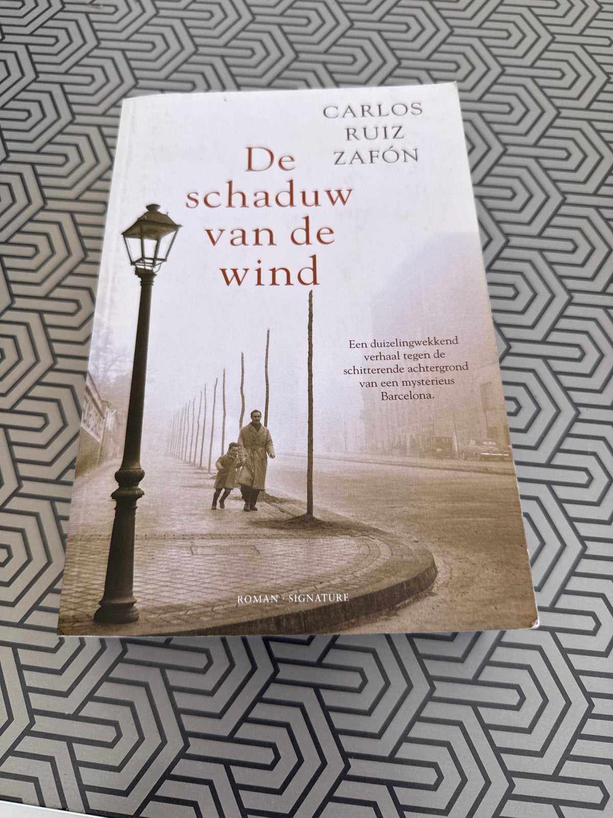 De schaduw van de wind - Carlos Ruiz Zafón, Ophalen of Verzenden, Zo goed als nieuw, Europa overig