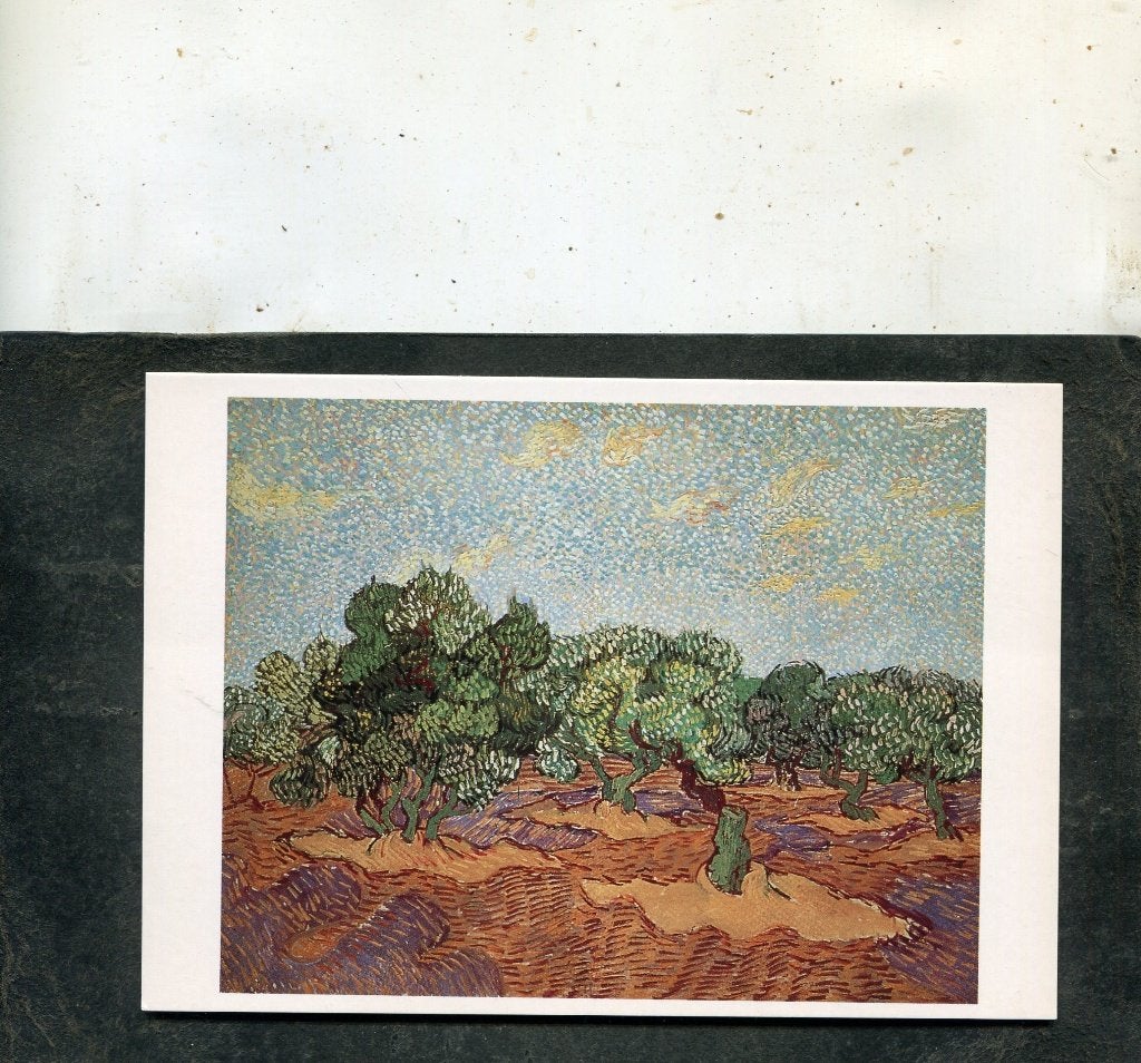 Ansicht Vincent van Gogh - Olive Grove: Pale blue sky, Verzenden, 1980 tot heden, Ongelopen, Overige thema's