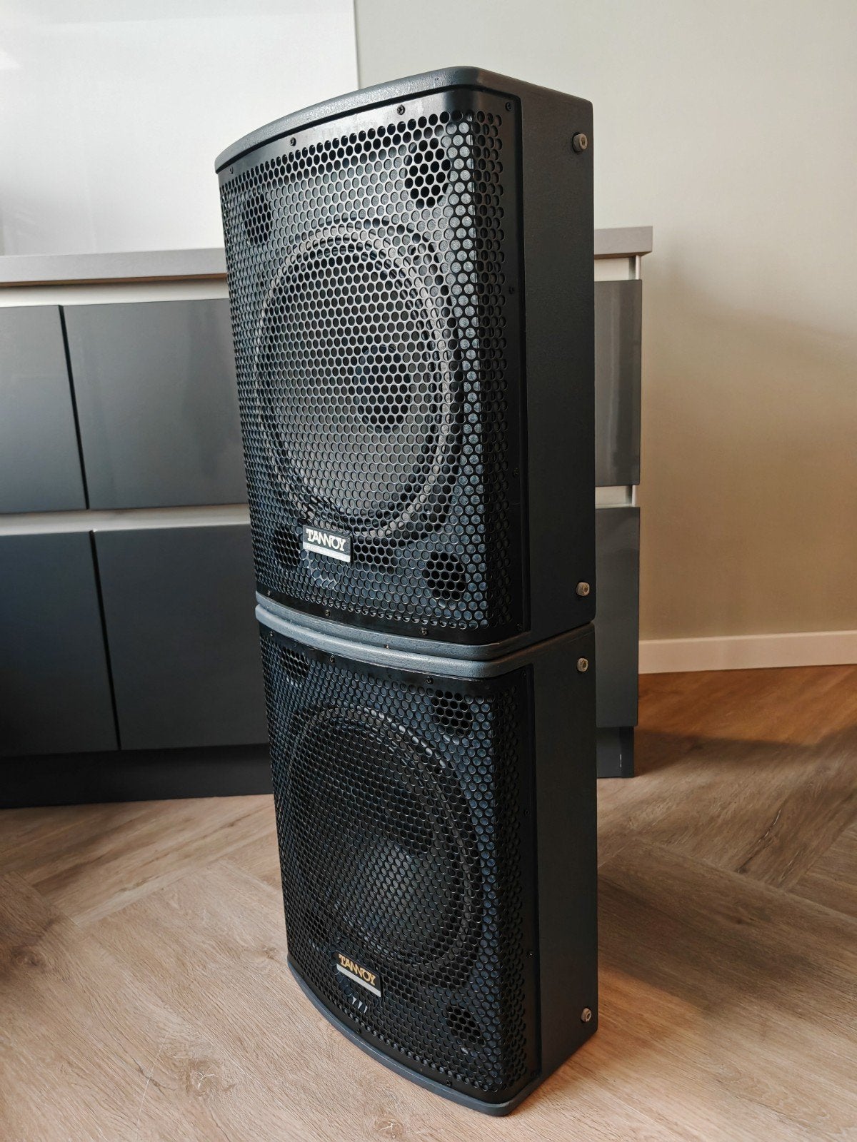 Tannoy T12 Professionele Passieve Luidsprekers (Paar), Gebruikt, Speakerset, Basreflex, Ophalen