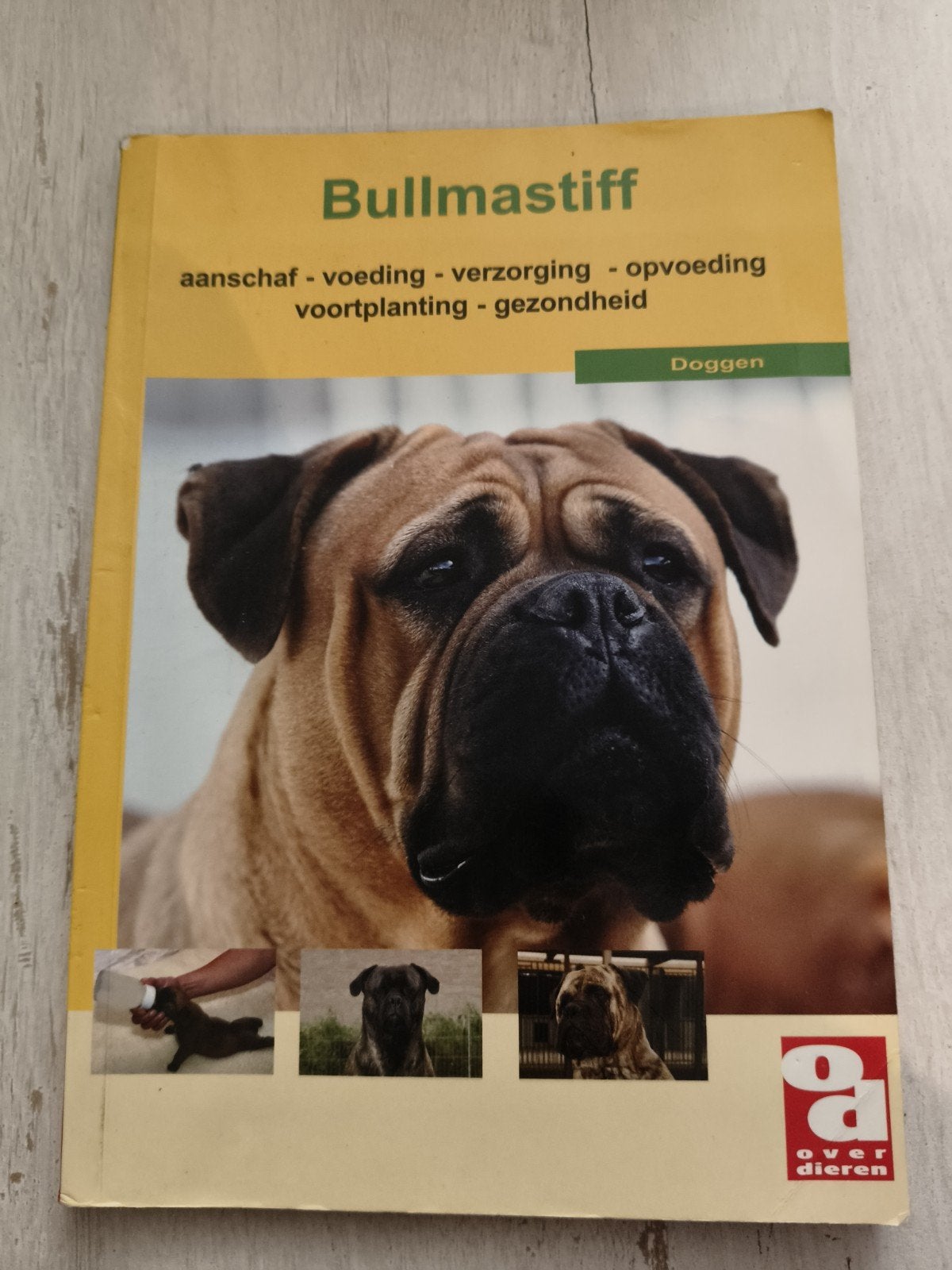 Bullmastiff Boek - Aanschaf, Voeding, Verzorging, Opvoeding, Ophalen of Verzenden, Gelezen, Honden, Diverse Auteurs
