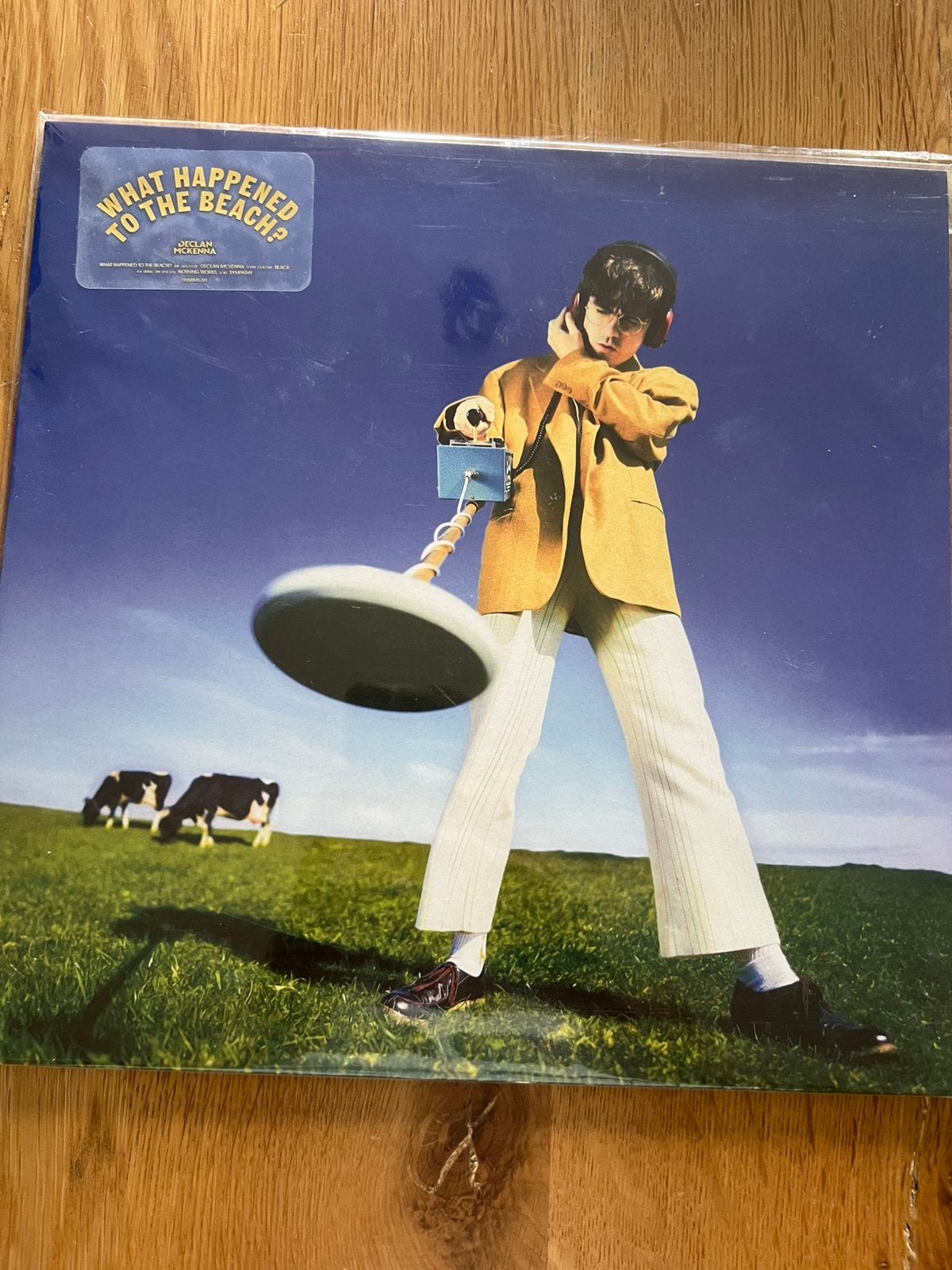 Jecklan Meckenna - What happens to the beach vinyl, Ophalen of Verzenden, Nieuw in verpakking, 12 inch