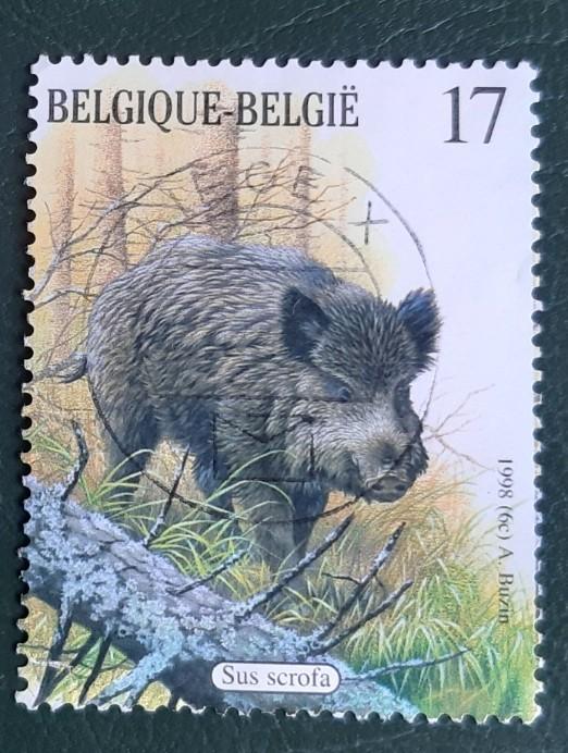 Belg jaar 1998 cob nr 2750 prachtstempels, Ophalen of Verzenden, Gestempeld, Gestempeld