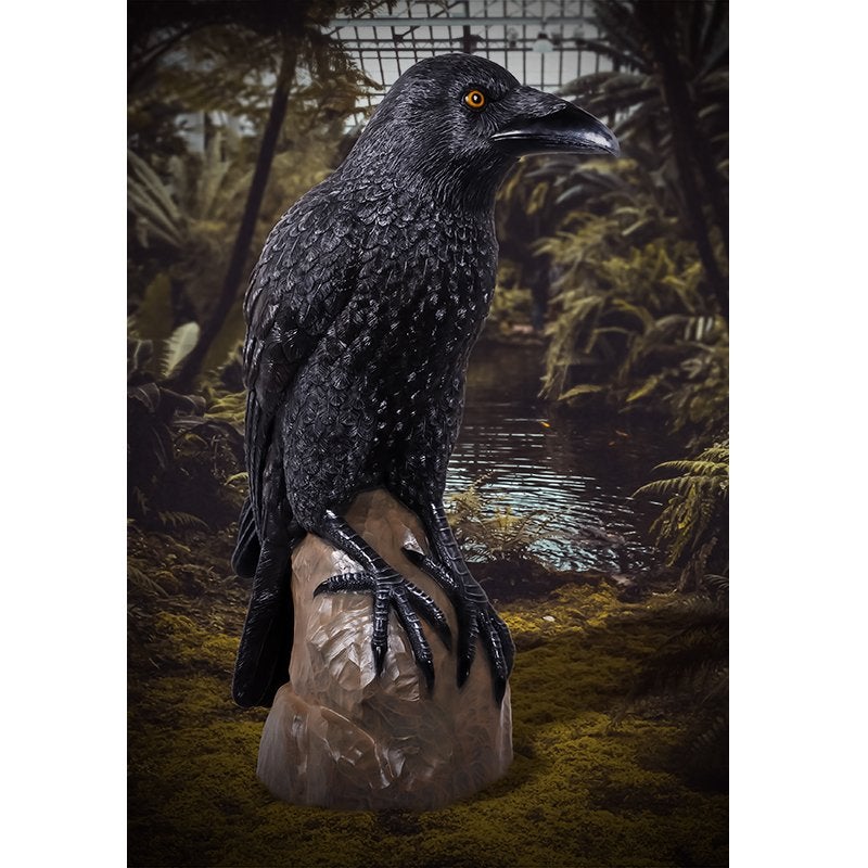 Giant Mystic Night Raven – Raaf 99.1 x 53.3 x 149.9 cm, Verzamelen, Ophalen, Nieuw, Overige typen
