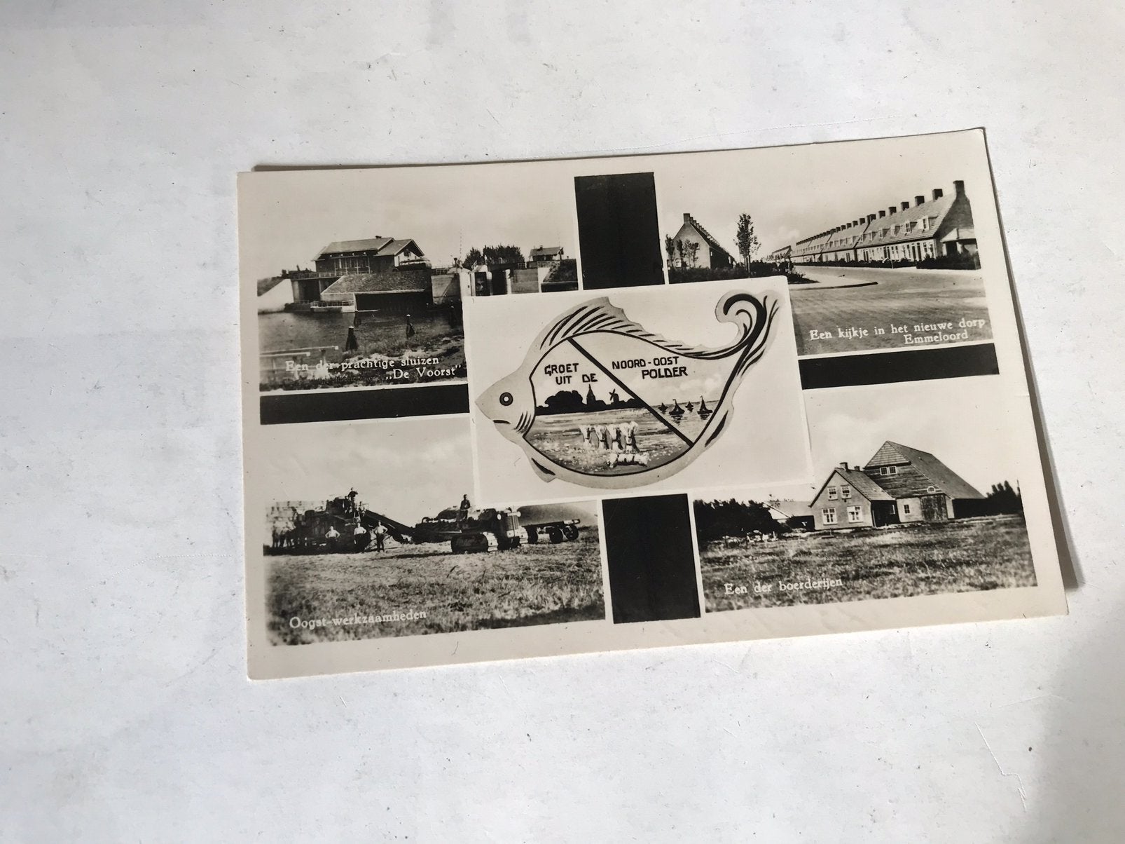Ansicht: Groet uit de Noord-Oost Polder., Ophalen of Verzenden, 1960 tot 1980, Gelopen, Flevoland