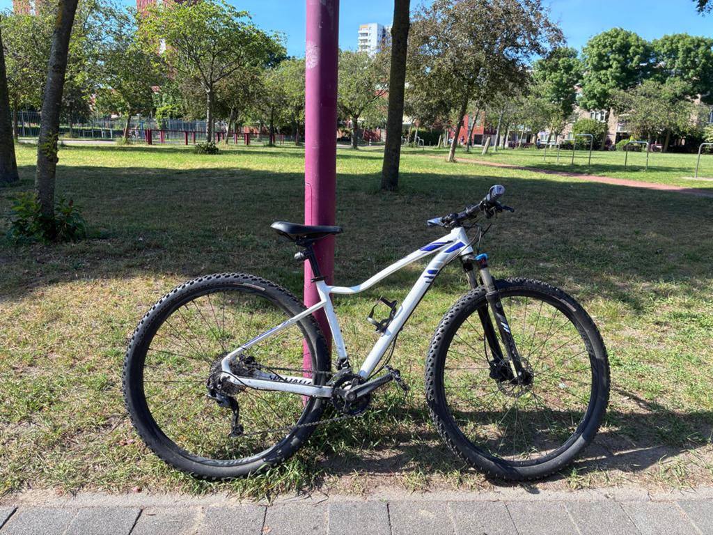 Specialized Mountainbike Jett 29 inch, small- Wit/Blauw, Gebruikt, Hardtail, 49 tot 53 cm, Dames