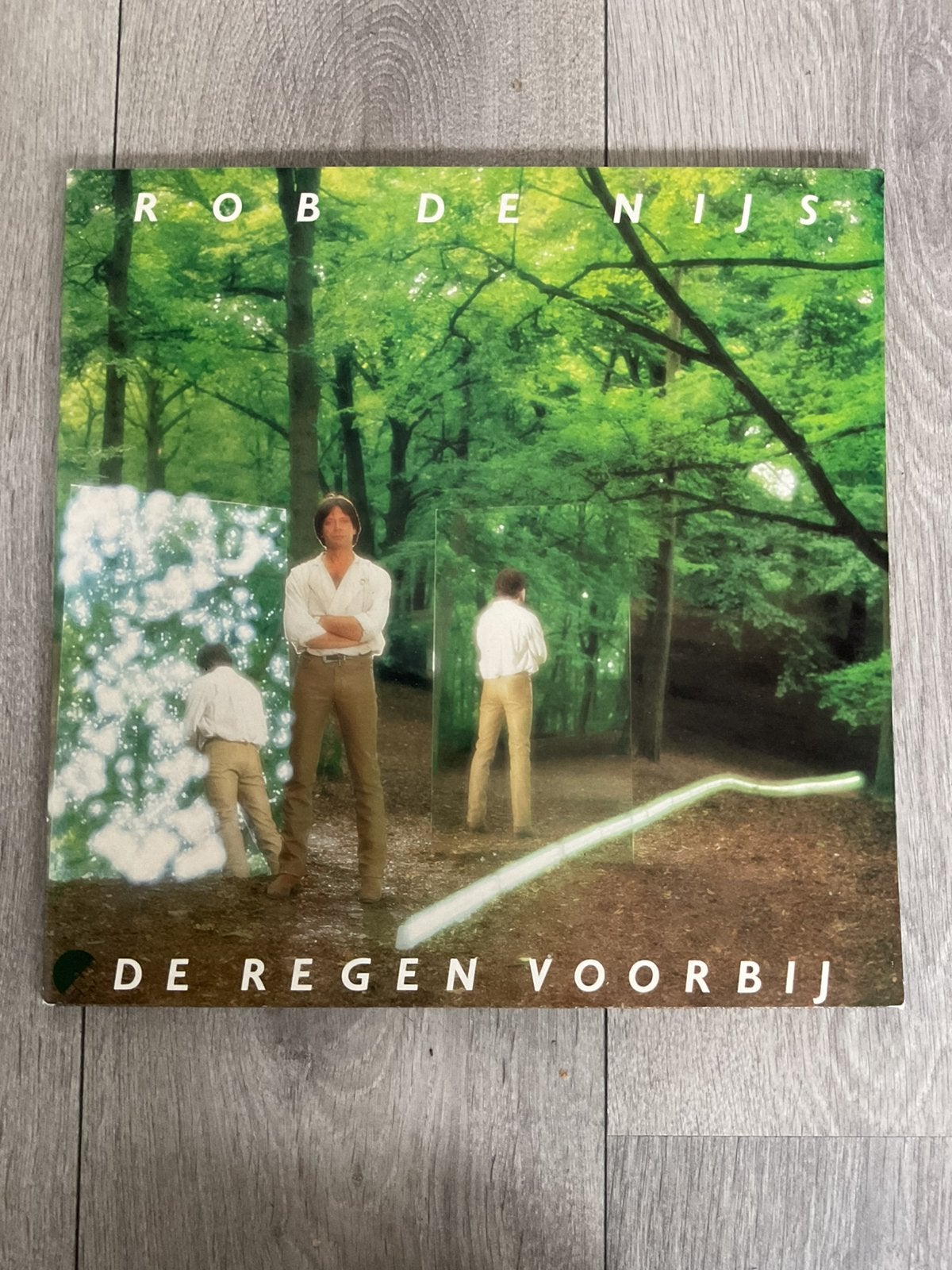 Rob de Nijs De regen voorbij (LP), LP, Ophalen of Verzenden, Zo goed als nieuw, 12 inch