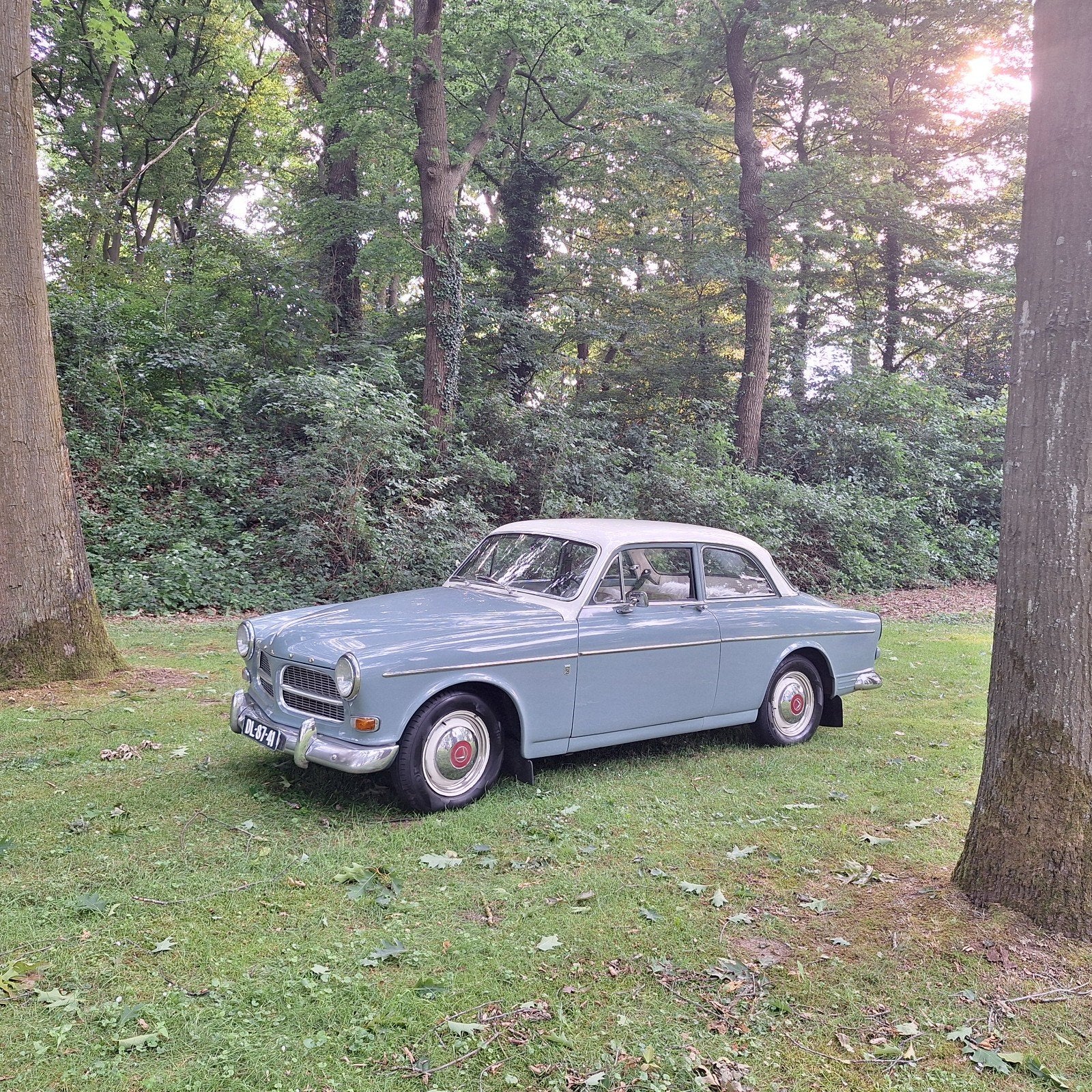 Prachtige Volvo Amazon uit 1962, foto 2