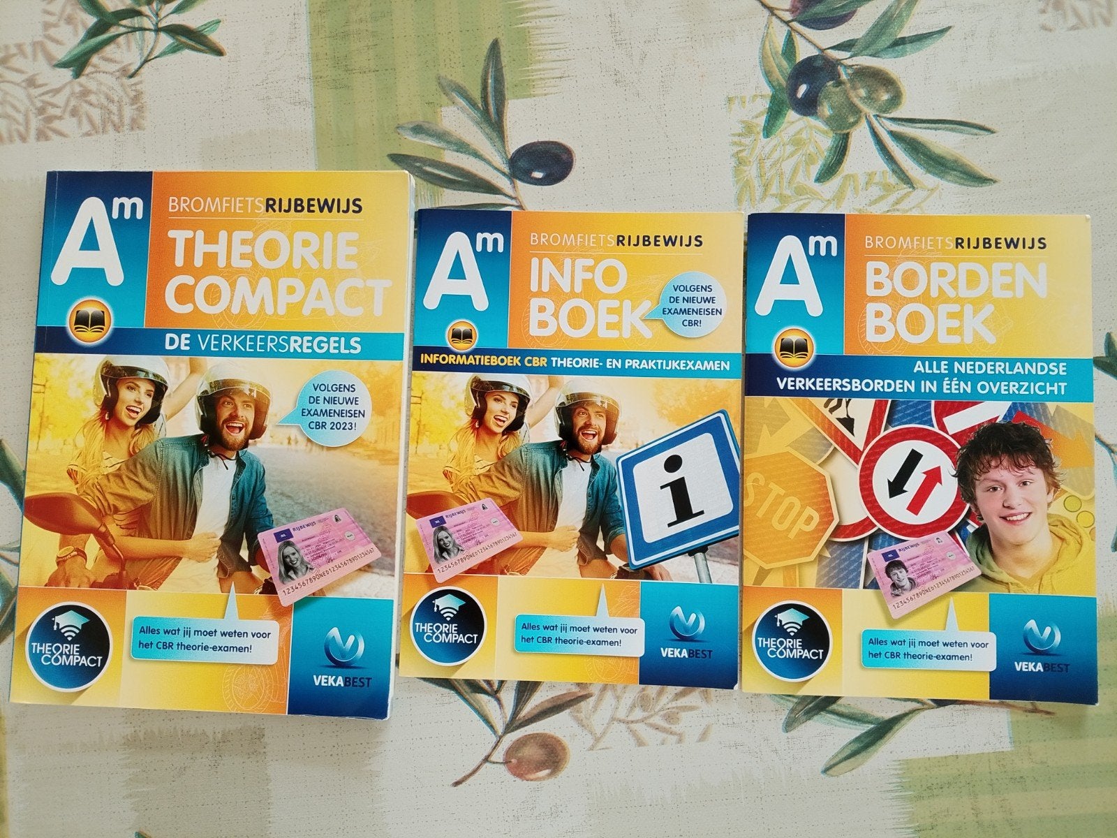 Theorie boeken, Ophalen of Verzenden, Alpha